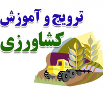 کشاورزی