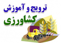 کشاورزی