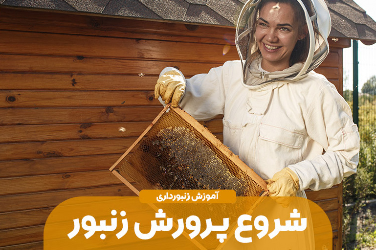 دوره جدید پرورش زنبور آغاز شد